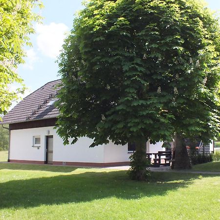 Ferienhaus Moni Mit 2 Separaten Wohnungen Am Silbersee Frielendorf 外观 照片